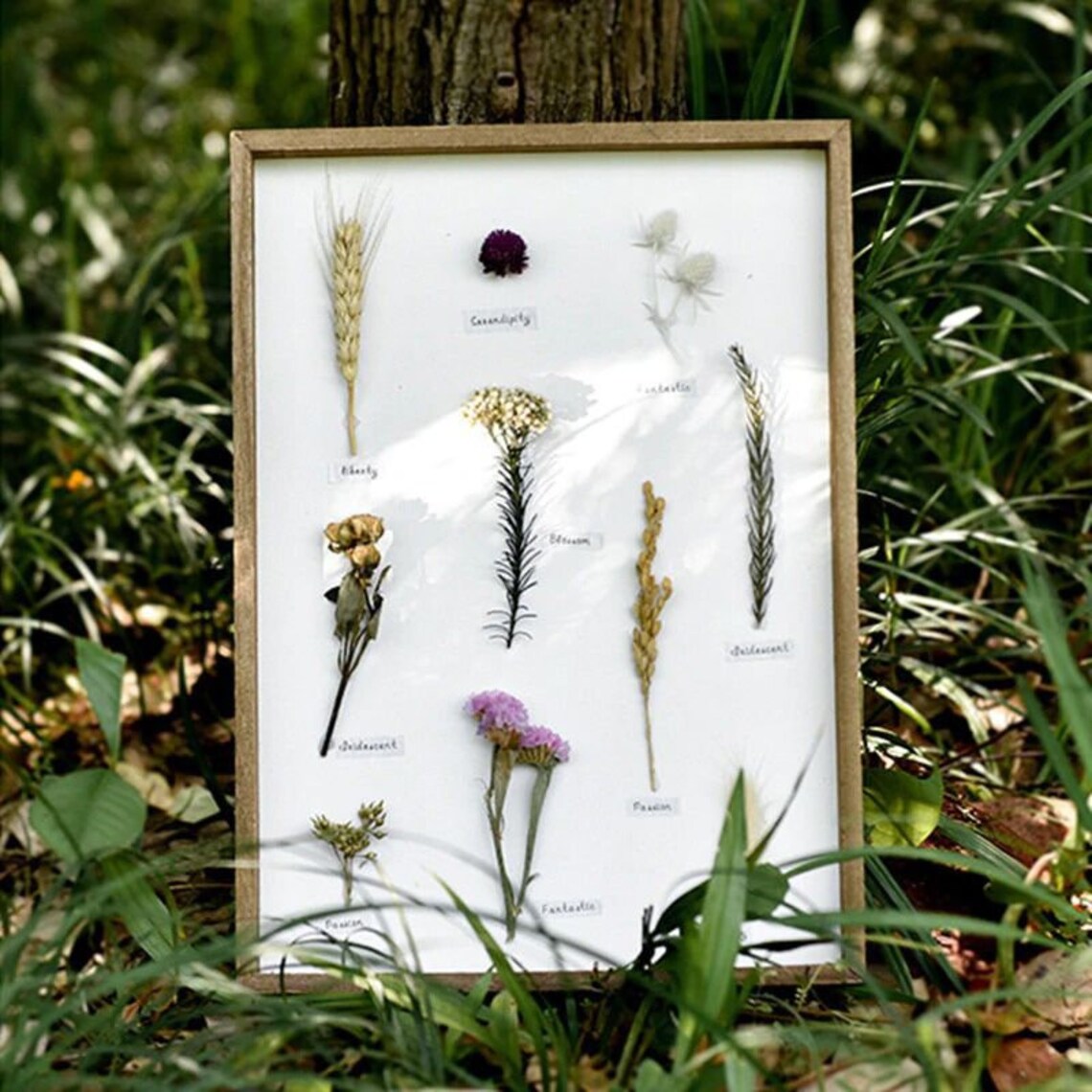 Herbarium Frame With Dried Flowers Preserved Flowers Frame Etsy