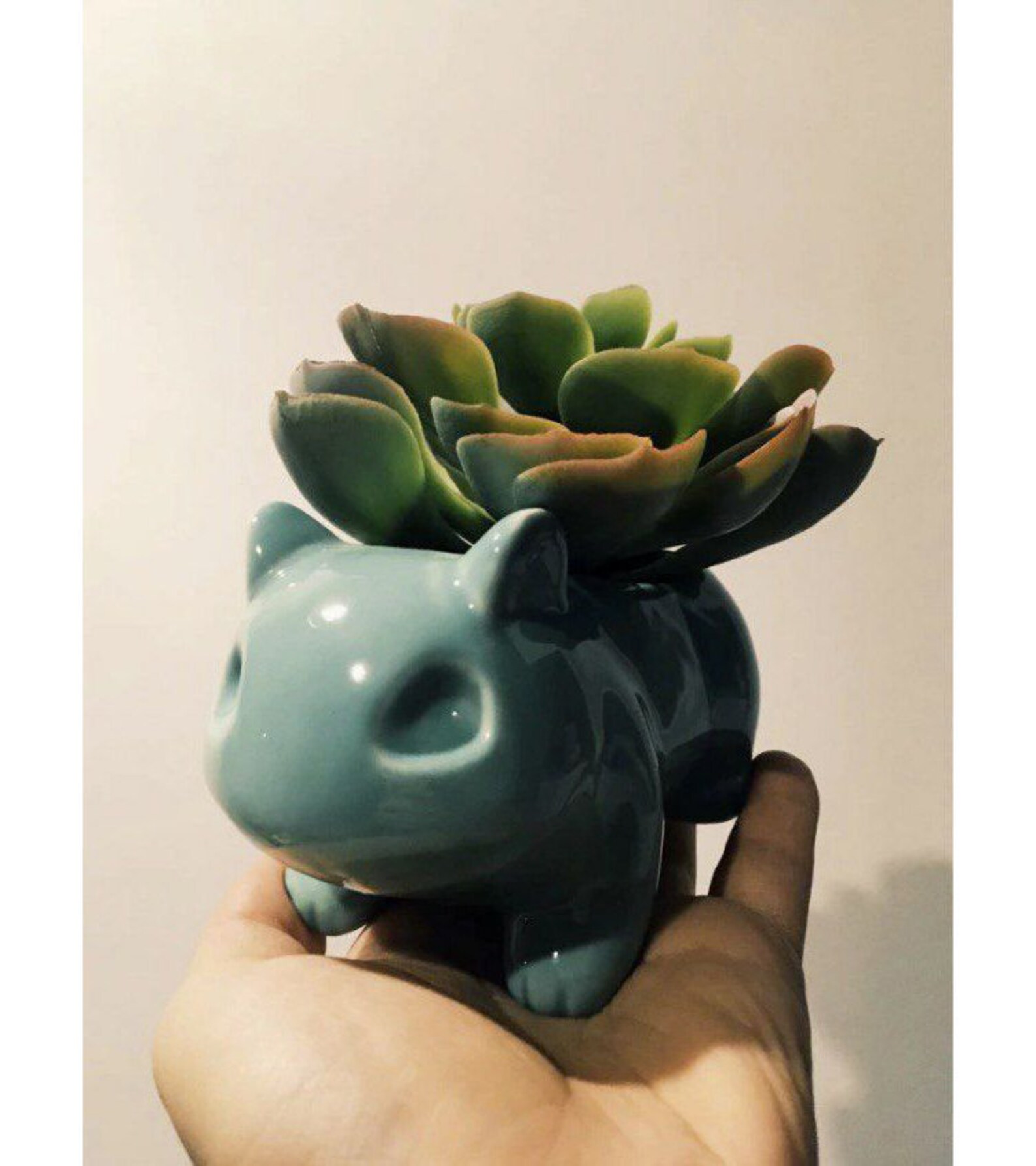 Bulbasaur Planter Pokemon Planter Pokemon Plant Pot Pokemon Etsy