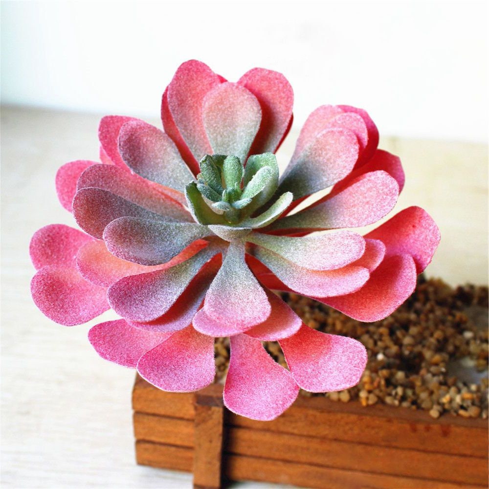 Colorful Faux Succulents Artificial Succulents for DIY Etsy
