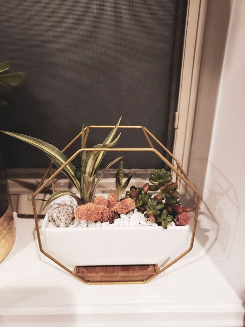 Hexagon Hanging Planter Wall Planter Plant Stand