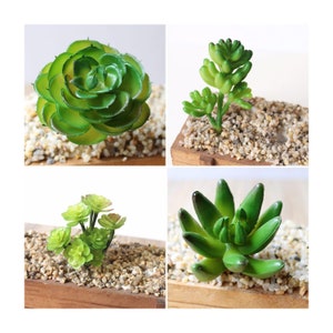 Mini Künstliche Kunststoff Sukkulente Kaktus Echeveria Blume Wohnkultur Geschenk Mini Künstliche Kunststoff Sukkulente Kaktus Echeveria Blume Wohnkultur Geschenk