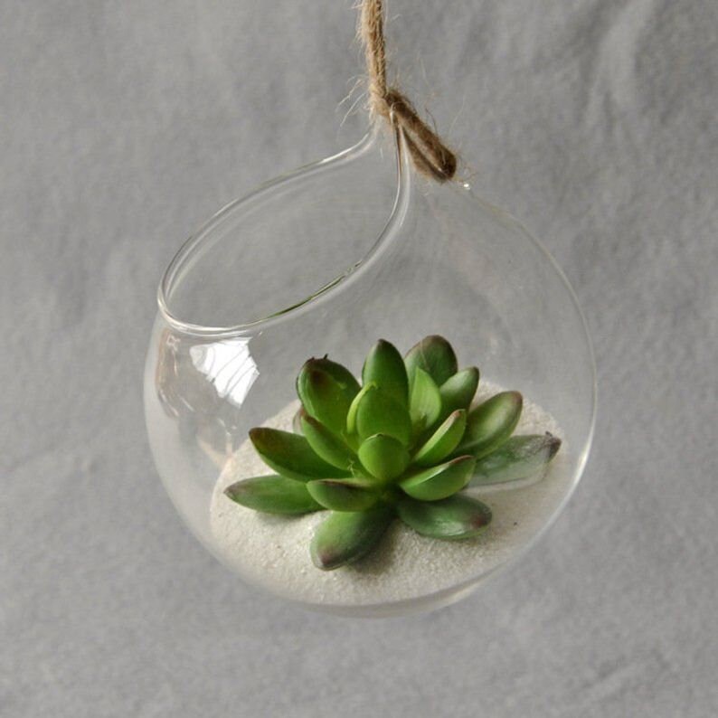 Hanging Glass Planter Hydroponic Vase Hanging Terrarium Etsy