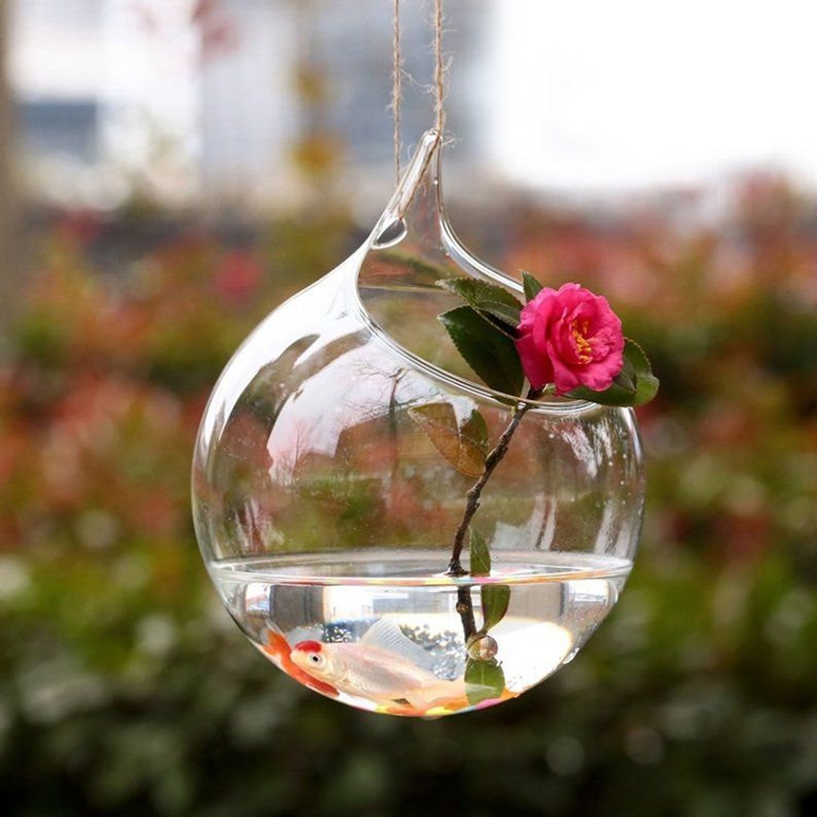 Hanging Glass Planter Hydroponic Vase Hanging Terrarium Etsy