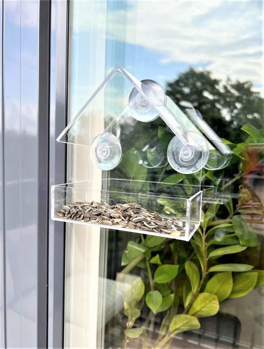 Small Window Bird Feeder Hanging Bird Feeder Acrylic Glass Etsy
