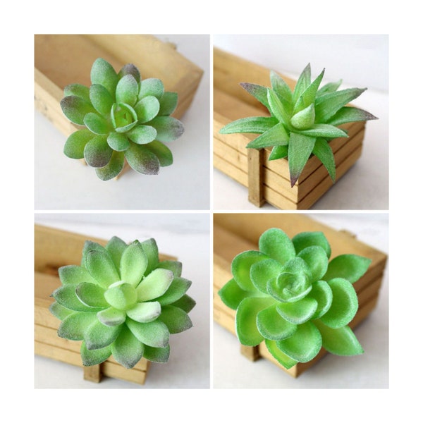 Buy Faux Succulents Etsy