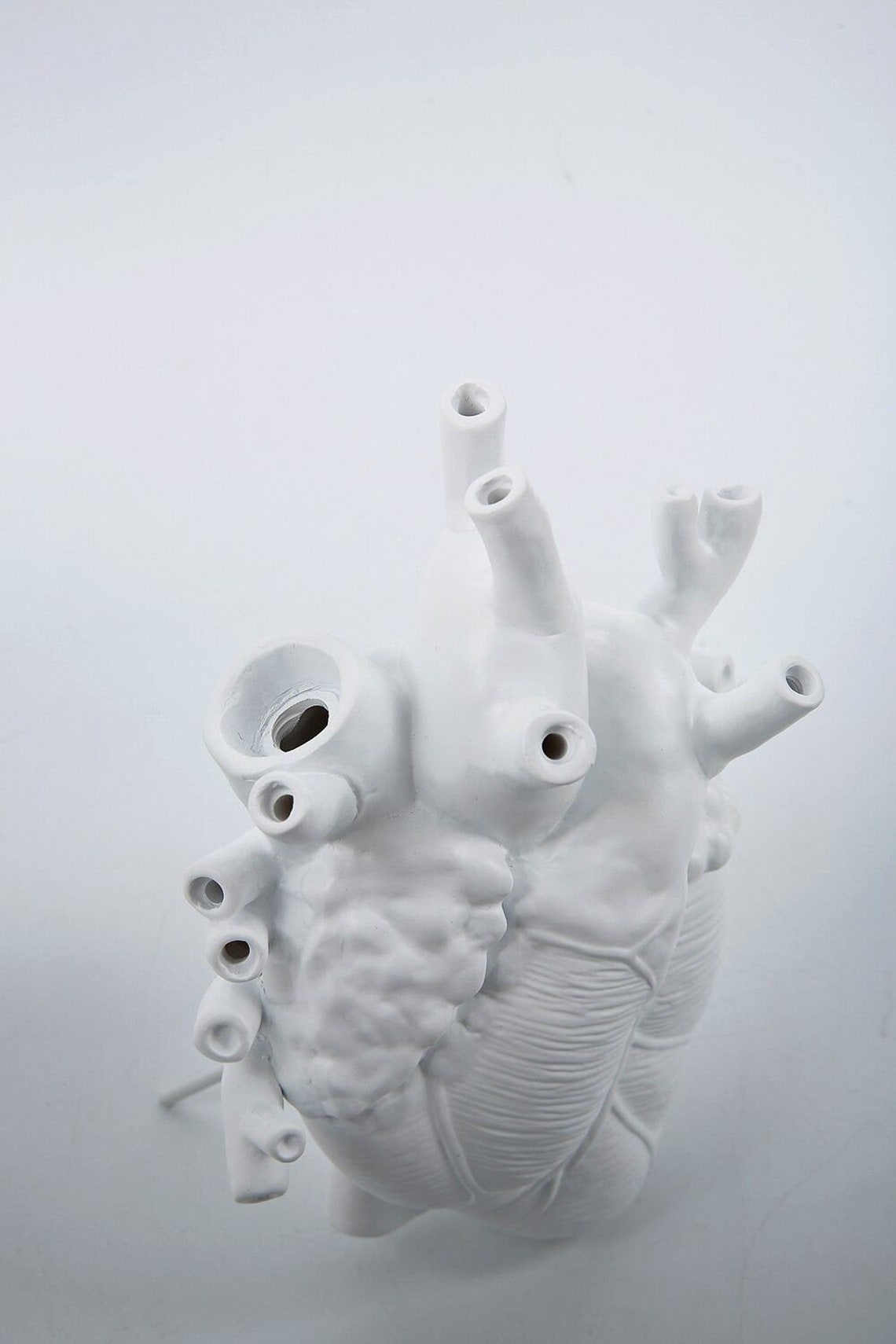 Unique Anatomical Heart Vase Anatomical Vase Cardiologist Etsy