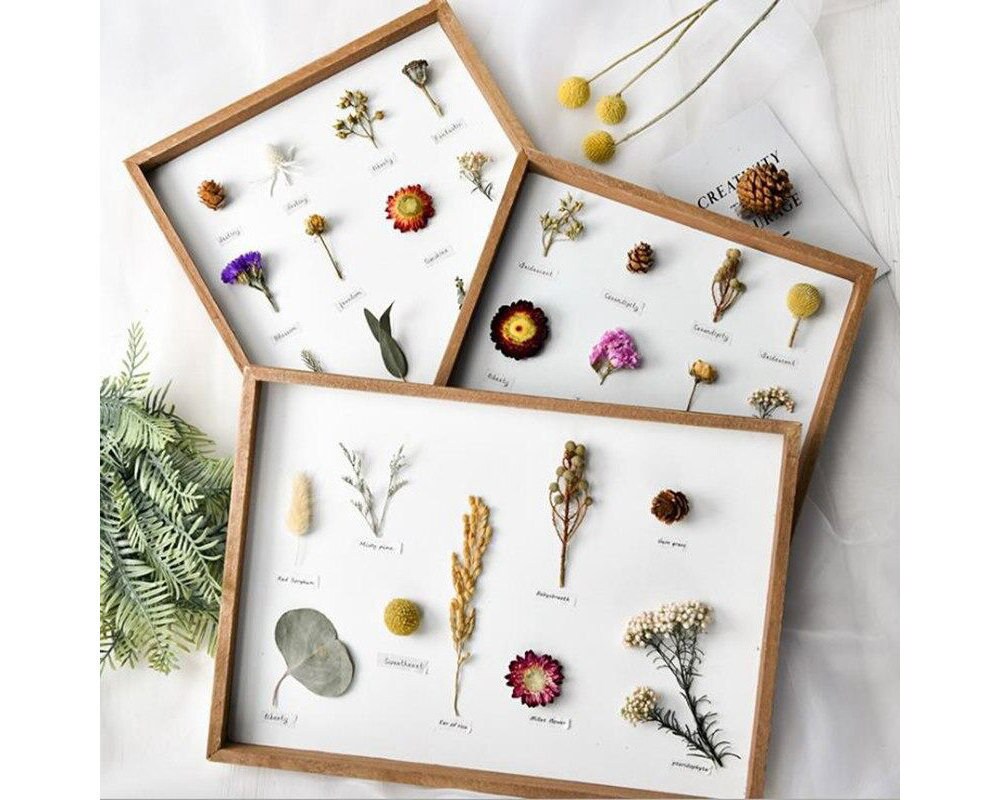 Herbarium Frame With Dried Flowers Preserved Flowers Frame Etsy