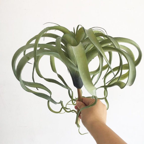 Extra Large Artificial Tillandsia Faux Air Plants Artificial Etsy