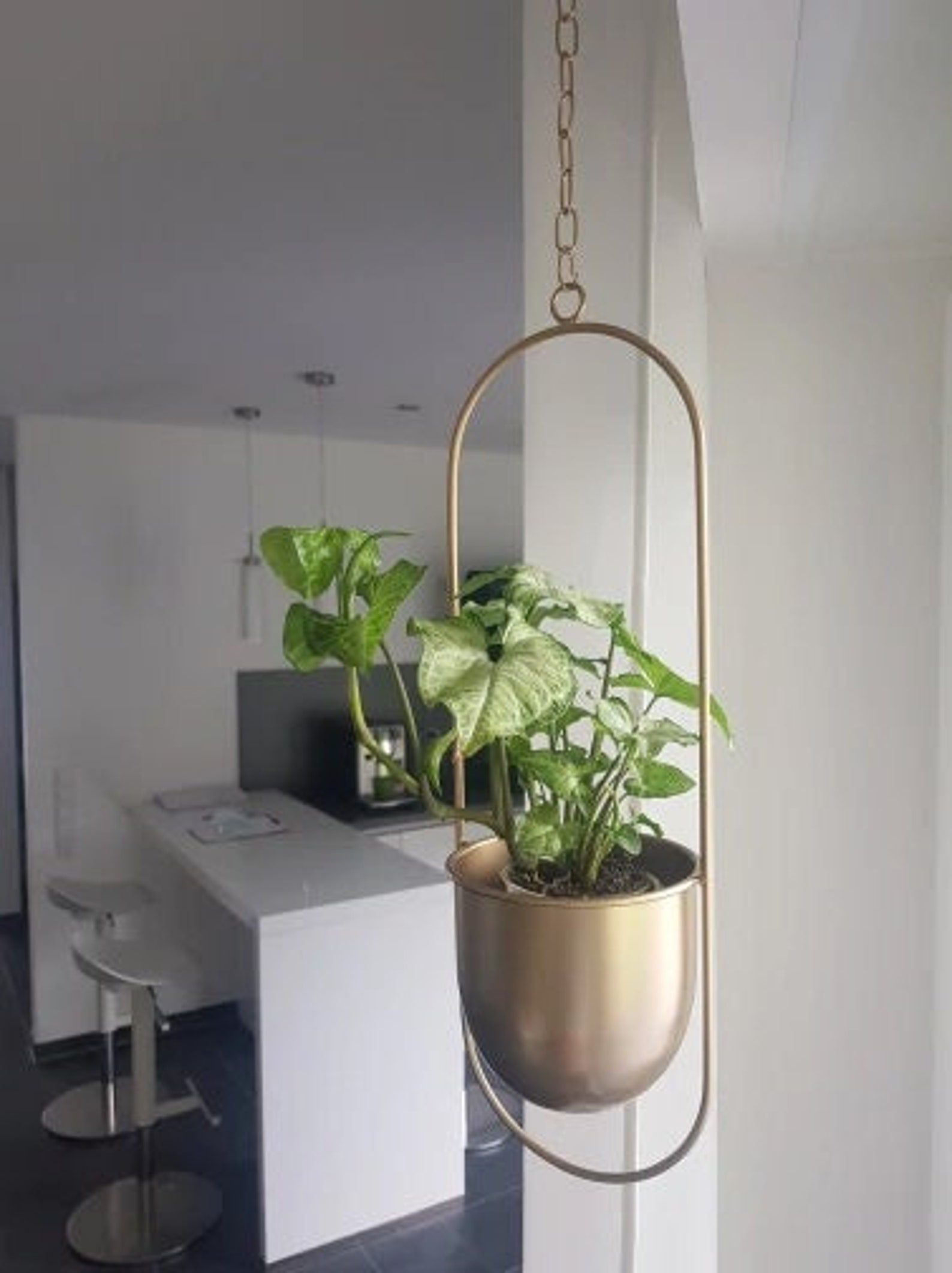 Metal Hanging Wall Planter Hanging Planter Indoor Hanging Etsy