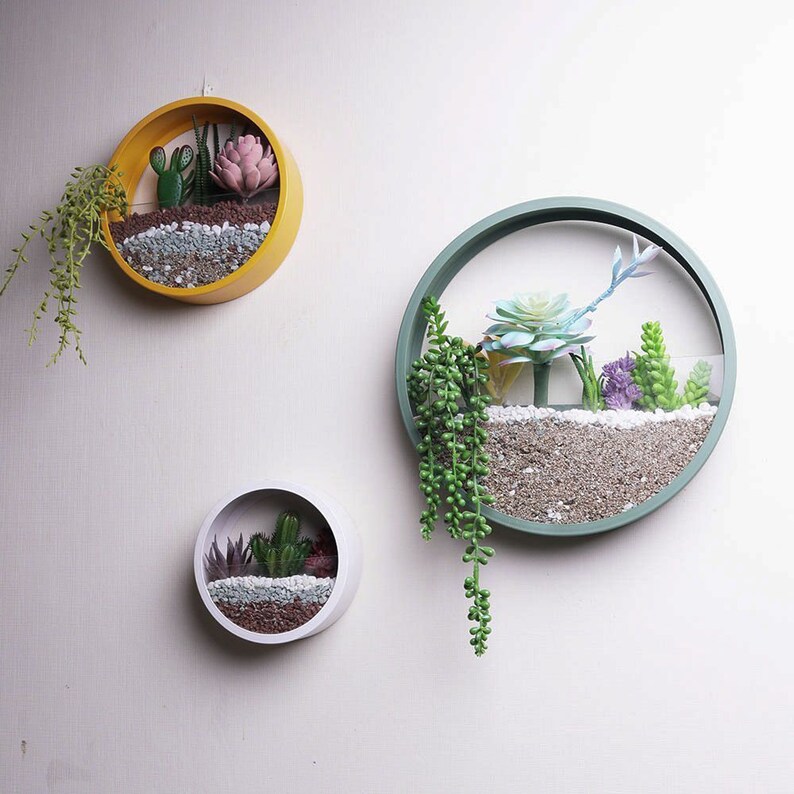 Hanging Wall Planter for Air Plants Round Hanging Planter Etsy