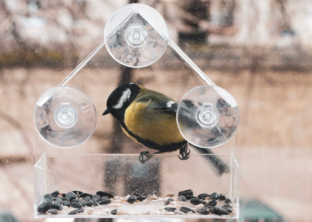 Small Window Bird Feeder Hanging Bird Feeder Acrylic Glass Etsy