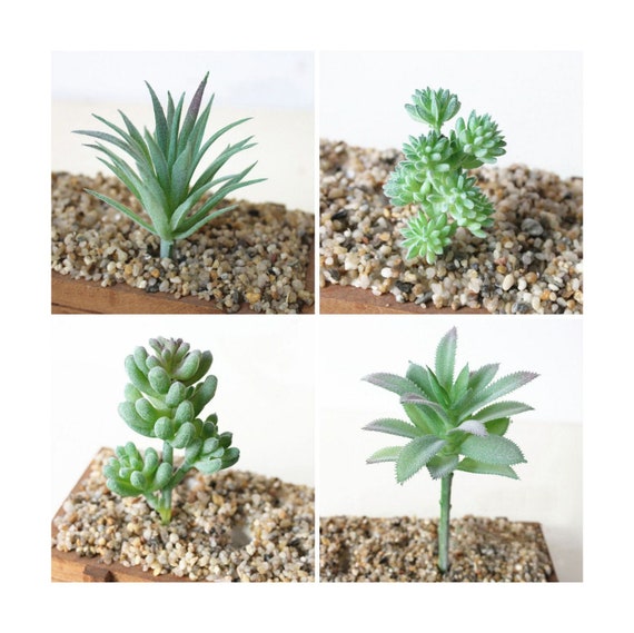 Mini Künstliche Kunststoff Sukkulente Kaktus Echeveria Blume Wohnkultur Geschenk Mini Künstliche Kunststoff Sukkulente Kaktus Echeveria Blume Wohnkultur Geschenk