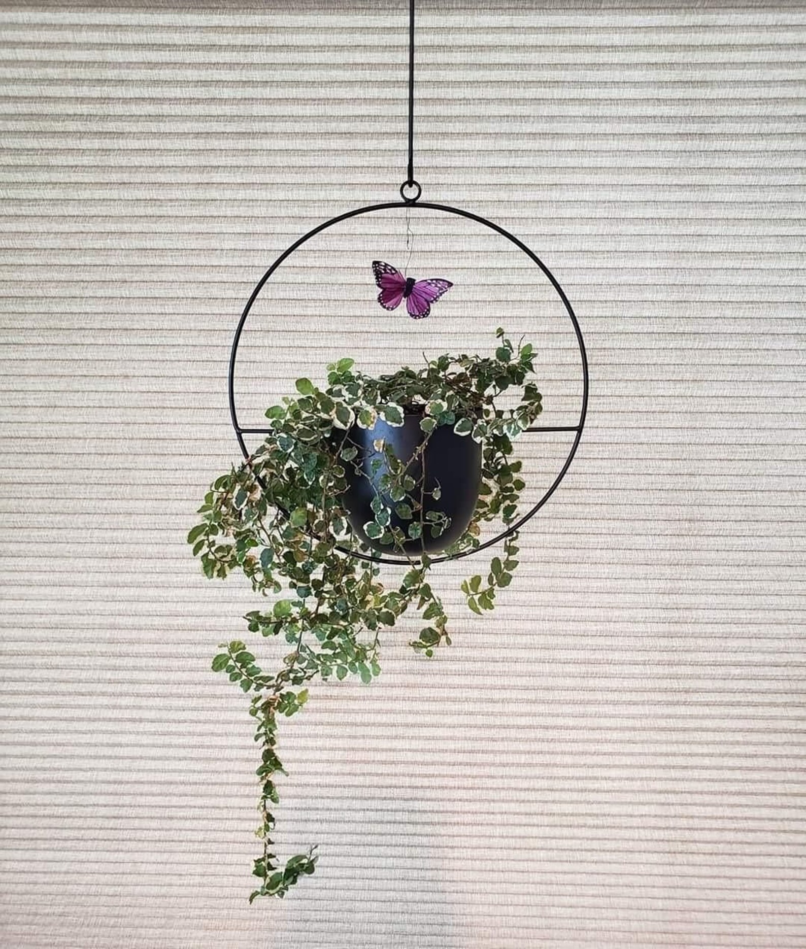 Metal Hanging Wall Planter Hanging Planter Indoor Hanging Etsy