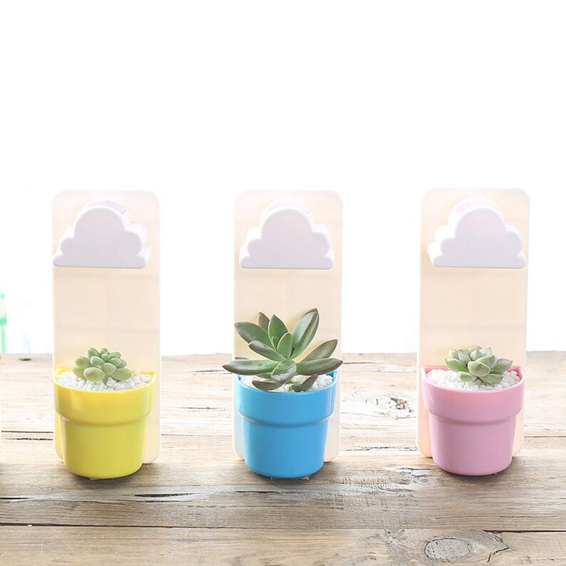 Hanging Planter Indoor Succulent Planter Mini Planter Succulents Wall Planter with a Rainy Cloud Cactus Pot Plant Hanger Succulent Gift