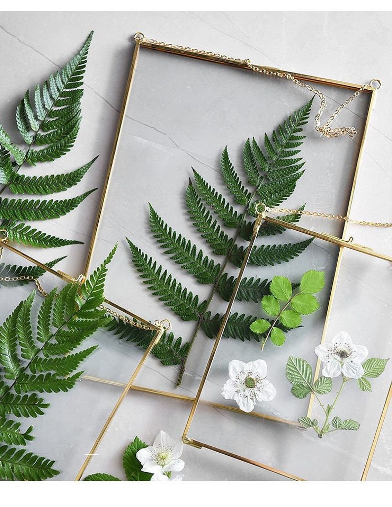 Hanging Herbarium Metal Frame for Pressed Flowers Hanging Etsy