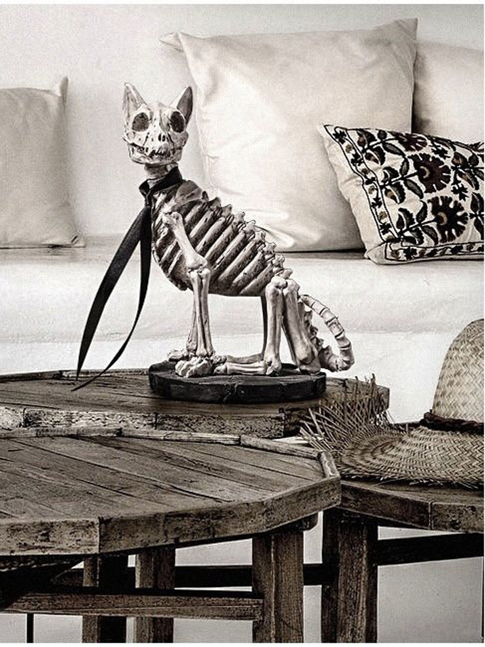 Cat Skeleton Gothic Home DecorDark Art Dog Skull Decor Cat | Etsy