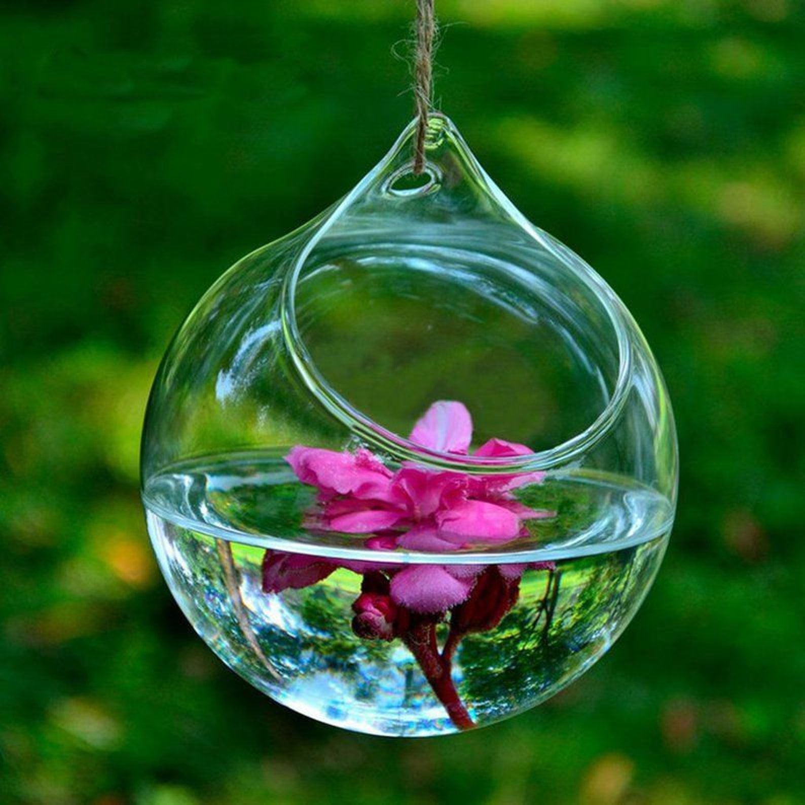 Hanging Glass Planter Hydroponic Vase Hanging Terrarium Etsy