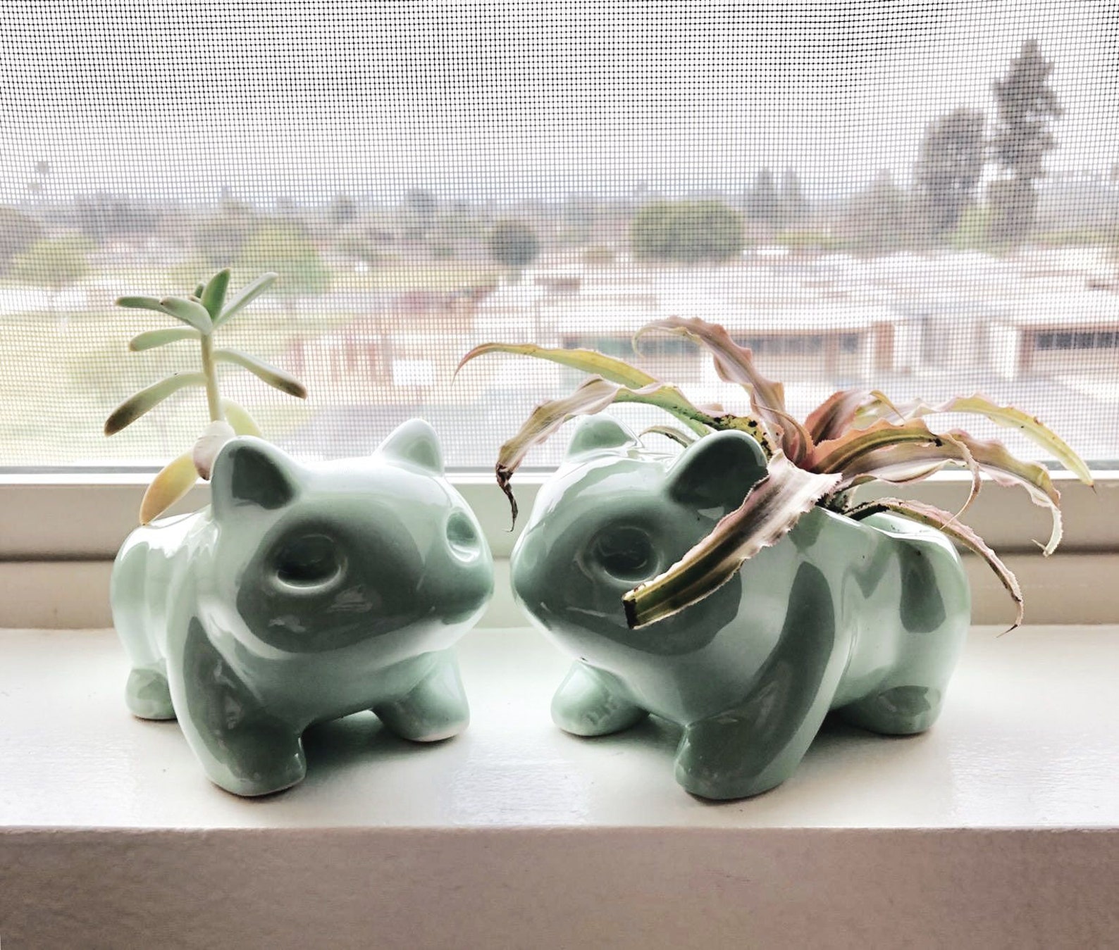 Bulbasaur Planter Pokemon Planter Pokemon Plant Pot Pokemon Etsy
