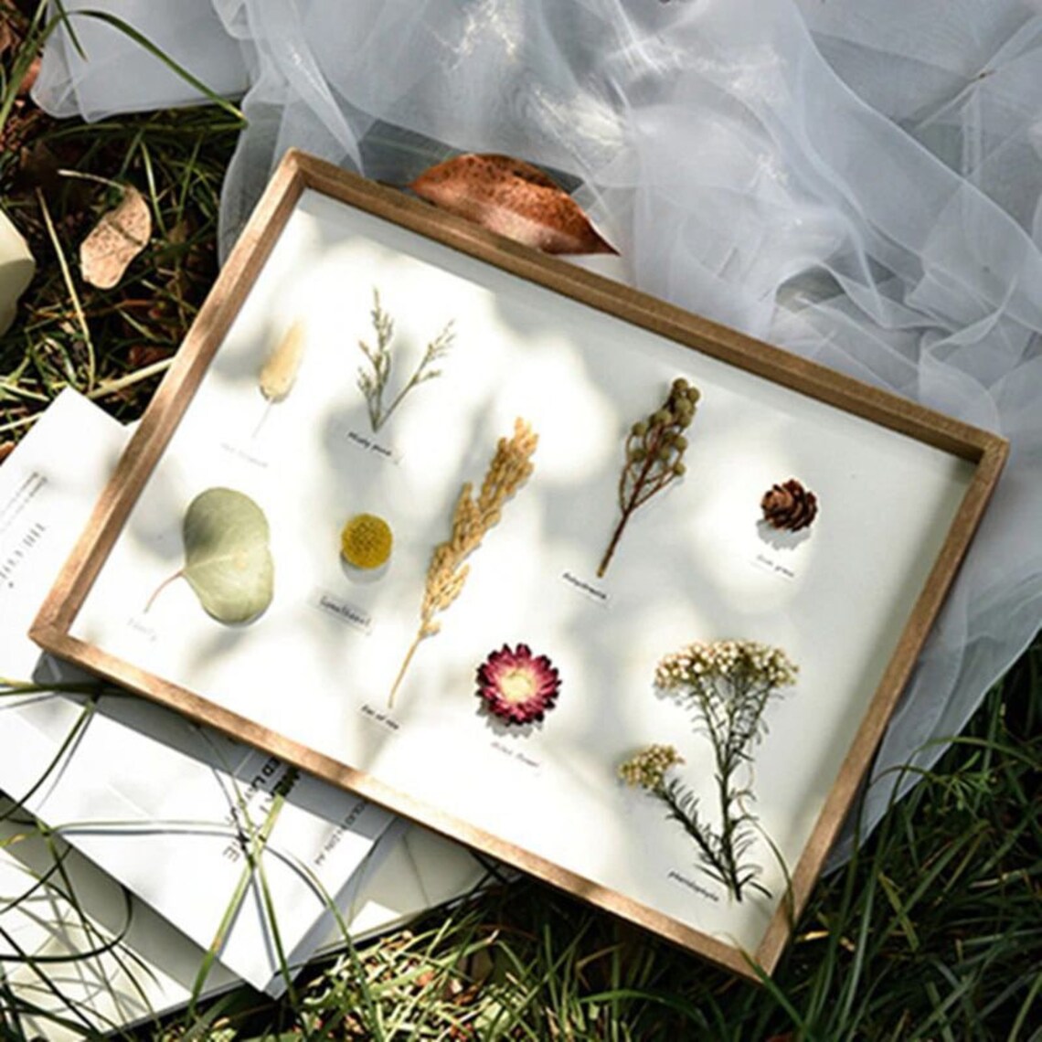 Herbarium Frame With Dried Flowers Preserved Flowers Frame Etsy