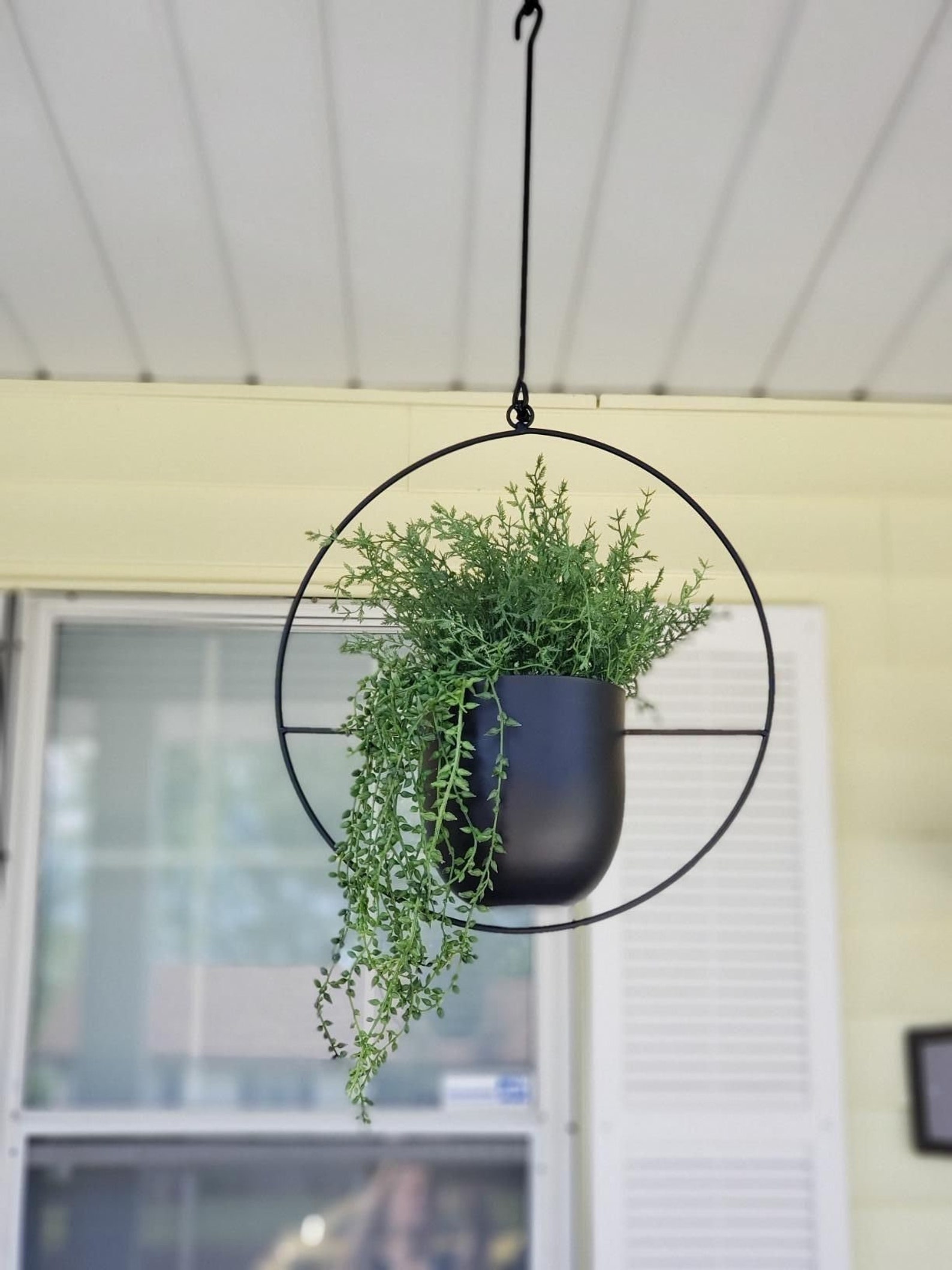 Metal Hanging Wall Planter Hanging Planter Indoor Hanging Etsy