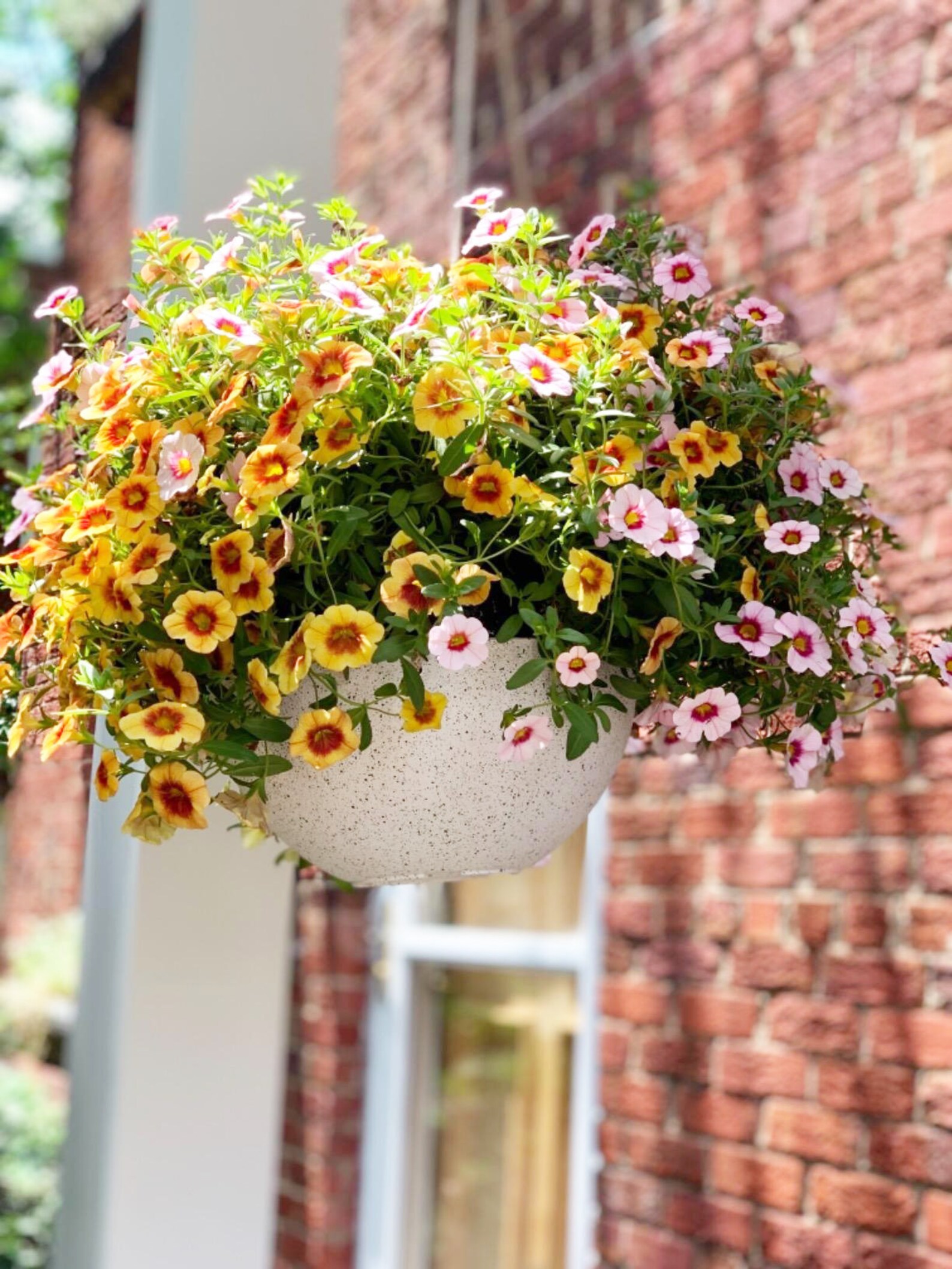 Set of 2 White Hanging Wall Planter 2 Pcs Hanging Planter Etsy