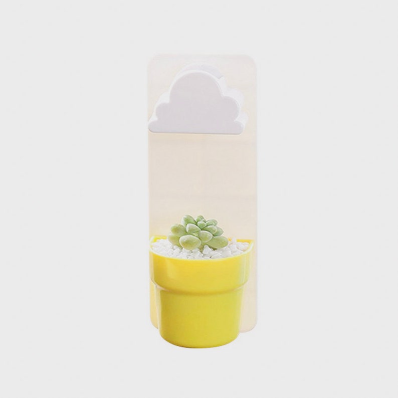 Hanging Planter Indoor Succulent Planter Mini Planter Succulents Wall Planter with a Rainy Cloud Cactus Pot Plant Hanger Succulent Gift