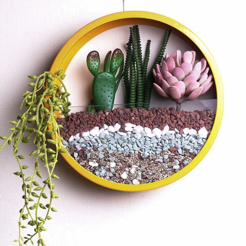 Hanging Wall Planter for Air Plants Round Hanging Planter Etsy