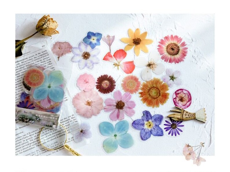 Set Of 6 Flower Stickers Pressed Flower Stickers Floral Stickers Preserved Flowers Sticker Dried Flowers Stickers For Herbarium Frame Paper Party Supplies Stickers Labels Tags