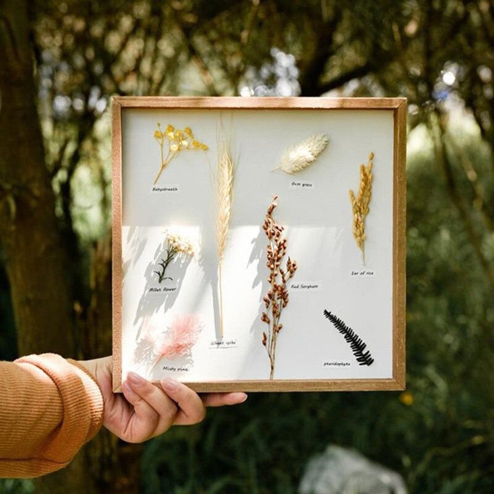Herbarium Frame With Dried Flowers Preserved Flowers Frame Etsy