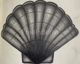 Shell Drawing Pencil on Paper-Original