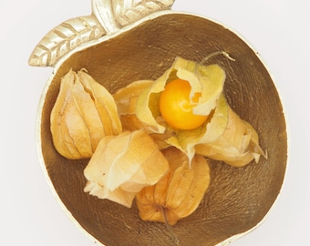 Vintage brass bowl in fruit/apple shape