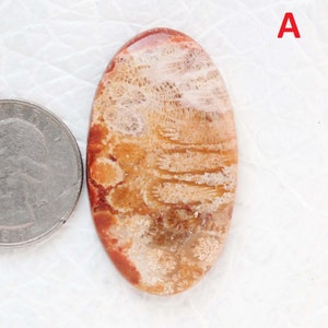Lote de Cabochão de Coral Fóssil Natural! Fio para enrolar pedra amarela fóssil! Colar com pingente, fazendo pedra preciosa solta.