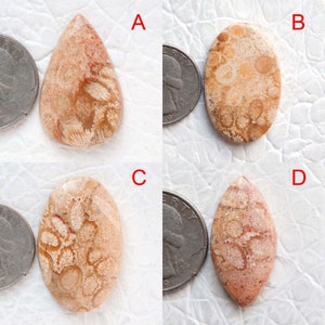 Lote de cabochões de fóssil de designer! Pedra preciosa de jaspe fóssil de cor amarelo-avermelhada! Envoltório de arame para fazer joias em macramê, pedra fóssil, pingente de anel.
