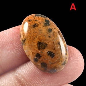 Pedra preciosa natural de jaspe oceânico, pedras de chakra, jaspe celular, cabochão de jaspe oceânico, jaspe orbicular, lote de atacado, pedra para fazer joias