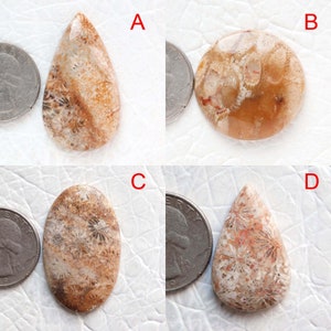 Lote de cabochões de fóssil de designer natural, suprimentos para joias de tamanho AAA, lote de fóssil amarelo, pedra preciosa solta