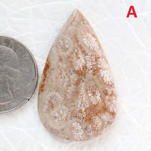 Lotto di fossili di design naturali cabochon, lotto di forniture per gioielli di qualità AAA per anelli e pendenti, lotto di fossili gialli, pietre preziose sciolte