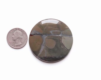 May include: A round, polished stone with a brown, grey, and white pattern. The stone is about the size of a UK 20 pence coin.