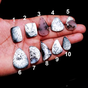 Cabujón de ágata opal dendrítica natural: Gema de calidad AAA