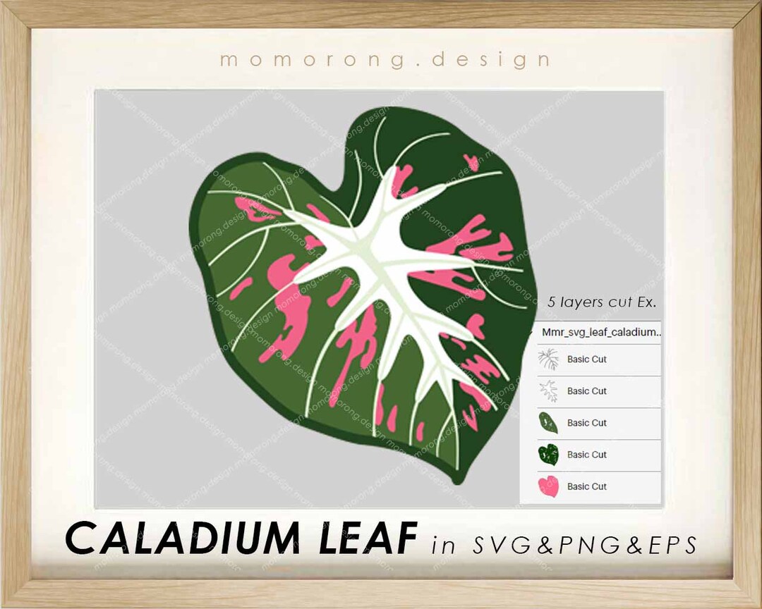 CALADIUM Heart Desire Leaf Svgcaladium Leaf Pngdigital Etsy