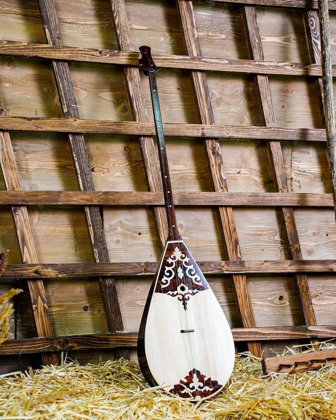 Dombra made of pine and birch wood, National musical instrument of the Kazakhs.
