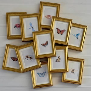 Mini Bug Art Print Framed Butterfly Decor Gold Frame Tabletop Insect Watercolor Bug Painting Vintage Style Hostess Gift Small Bug Wall Art