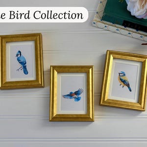 May include: Three framed art prints featuring blue bird illustrations. The frames are gold-colored with a rectangular shape. The text "Blue Bird Collection" is displayed above the frames.