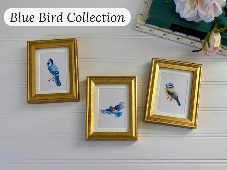 May include: Three framed art prints featuring blue bird illustrations. The frames are gold-colored with a rectangular shape. The text "Blue Bird Collection" is displayed above the frames.