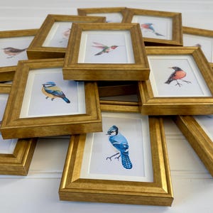 May include: A collection of framed bird art prints. Each print features a different watercolor illustration of a bird, set against a white background. The frames are gold-colored and arranged in a pile.