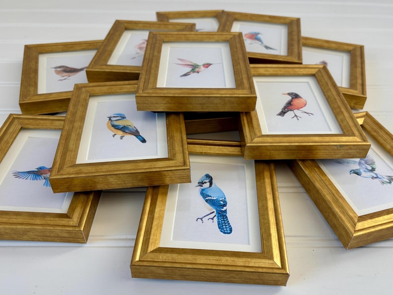 May include: A collection of framed bird art prints. Each print features a different watercolor illustration of a bird, set against a white background. The frames are gold-colored and arranged in a pile.