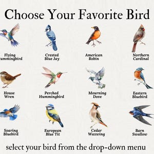 May include: A print featuring watercolor illustrations of various birds, including a hummingbird, blue jay, robin, and cardinal. Text at the top reads "Choose Your Favorite Bird," with additional text below stating "select your bird from the drop-down menu."