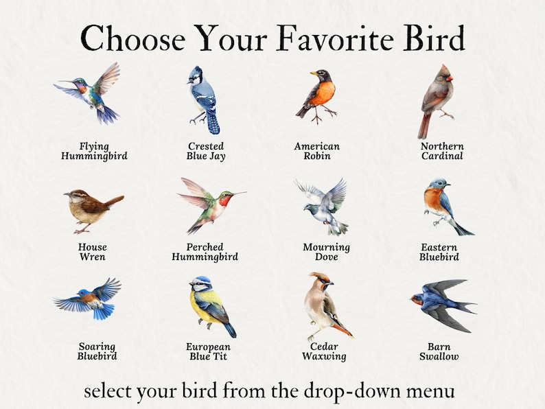 May include: A print featuring watercolor illustrations of various birds, including a hummingbird, blue jay, robin, and cardinal. Text at the top reads "Choose Your Favorite Bird," with additional text below stating "select your bird from the drop-down menu."