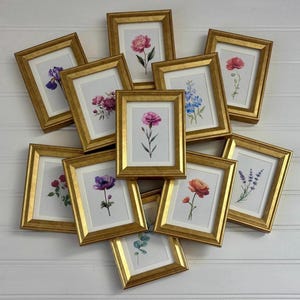 Mini bloemenkunst ingelijst decor wilde bloemen gouden lijst tafelblad bloemen aquarel schilderij vintage stijl gastvrouw cadeau kleine roos muurkunst
