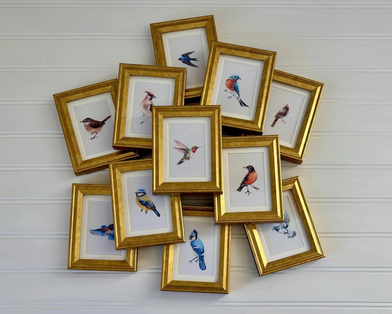 May include: A collection of framed bird art prints. Each print features a different bird species in watercolor, set within a gold-colored frame. The frames are arranged in a cluster against a white background.