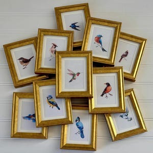 Minivogel kunstafdruk ingelijste zangvogel decor gouden lijst tafelblad vogel aquarel vogel schilderij vintage stijl gastvrouw cadeau kleine vogel muurkunst